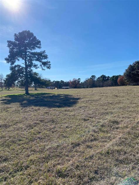 2869 Silk Tree Rd, Gilmer, TX 75645 .
